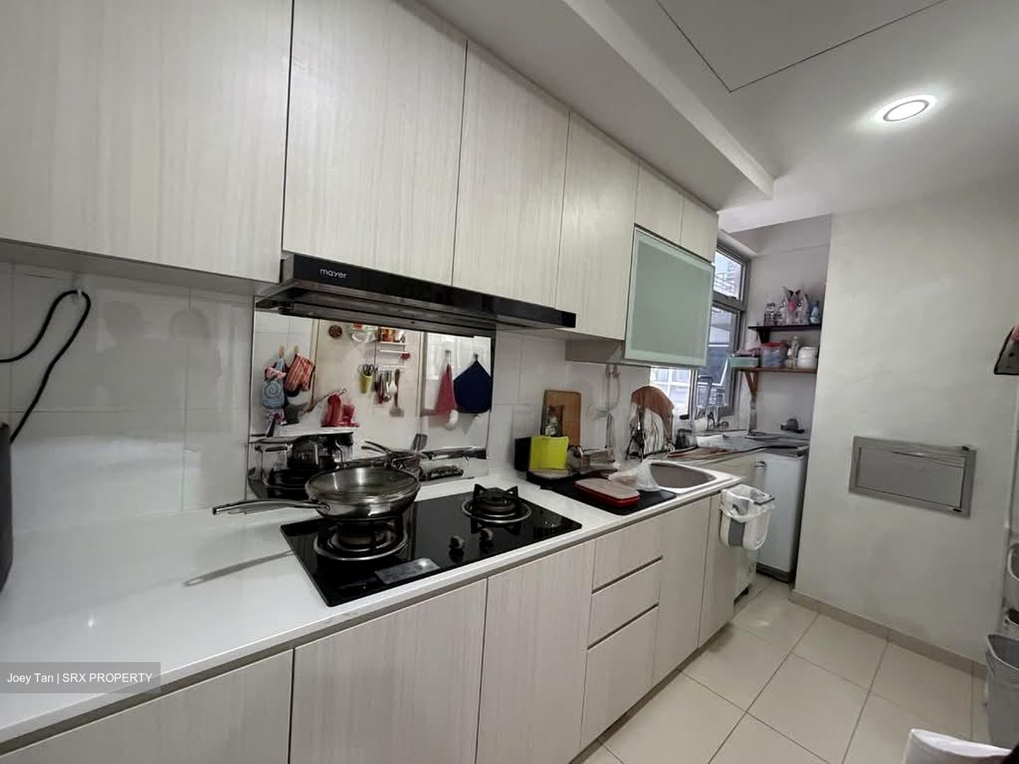 Oasis @ Elias (D18), Condominium #528237481